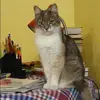 Отзыв от Ираида Васильева